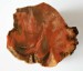Zkamenělé dřevo Kryry 70x70